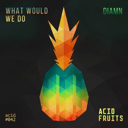 Cover of What Would We Do