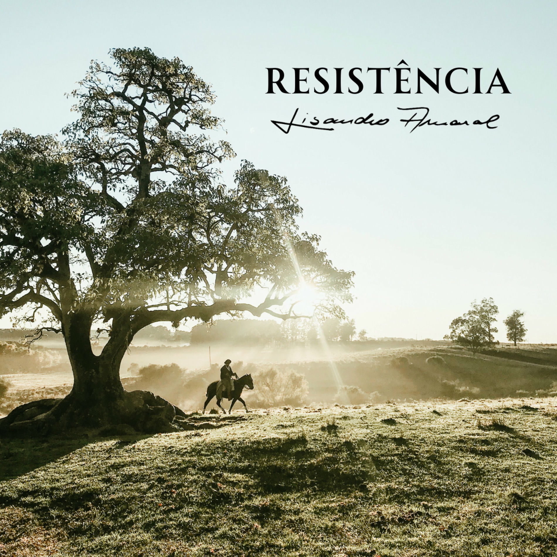 Album cover of Resistência