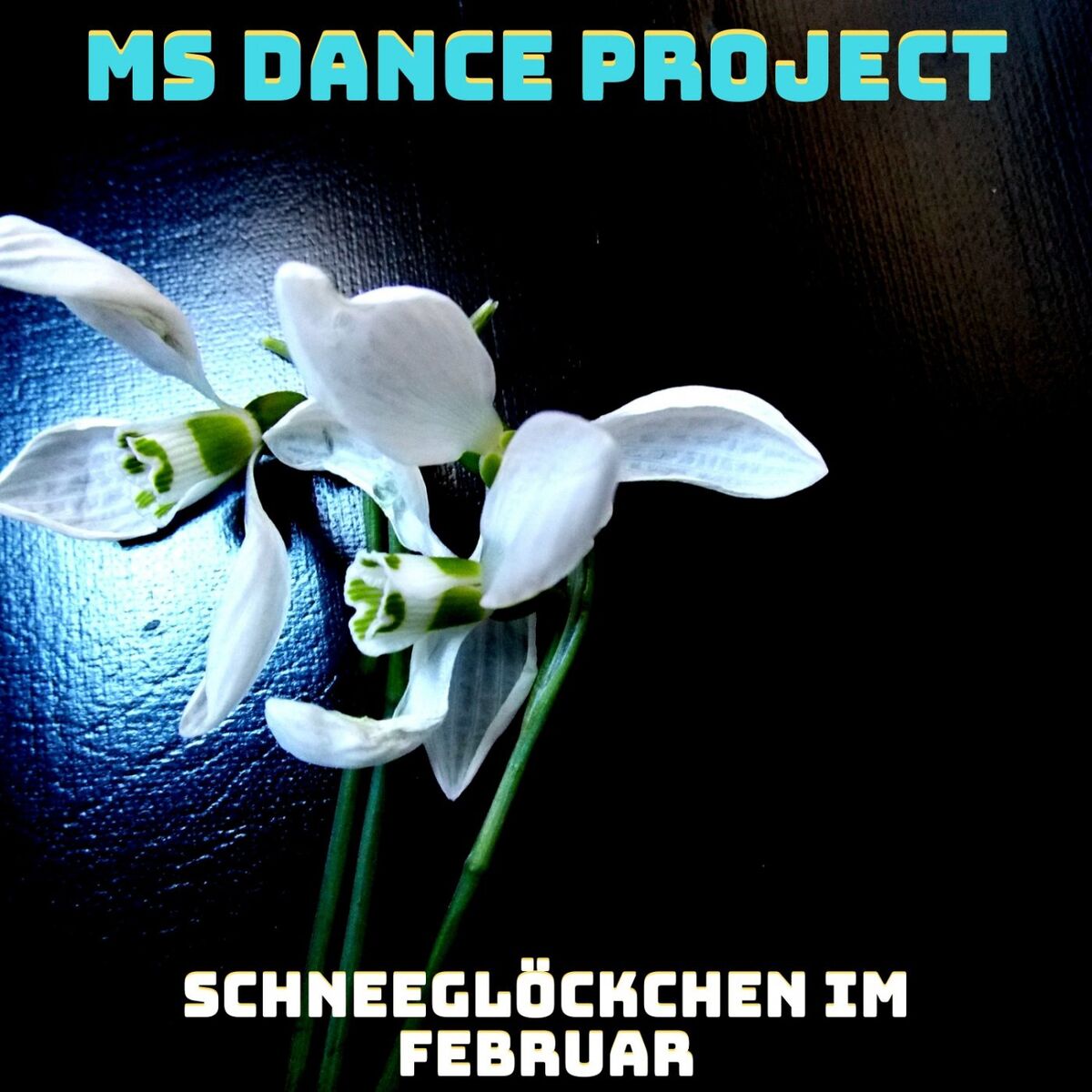 Album cover of Schneeglöckchen im Februar