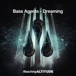 Cover of Dreaming