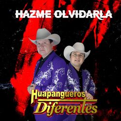 Cover of Hazme Olvidarla