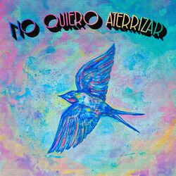 Cover of No Quiero Aterrizar