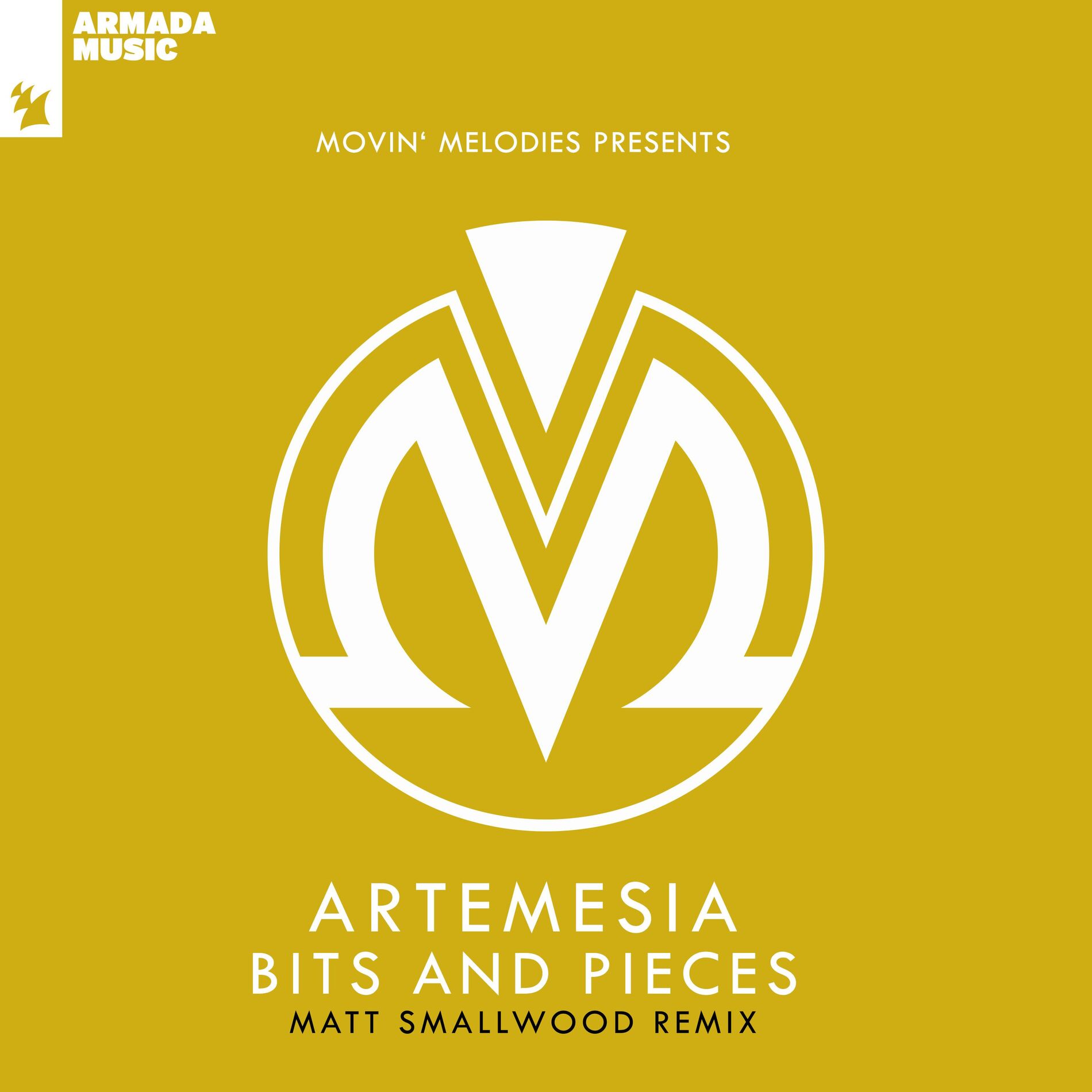 Album cover of Bits And Pieces (Matt Smallwood Remix)