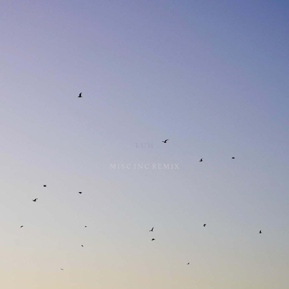 Album cover of Luh (Misc.Inc Remix)