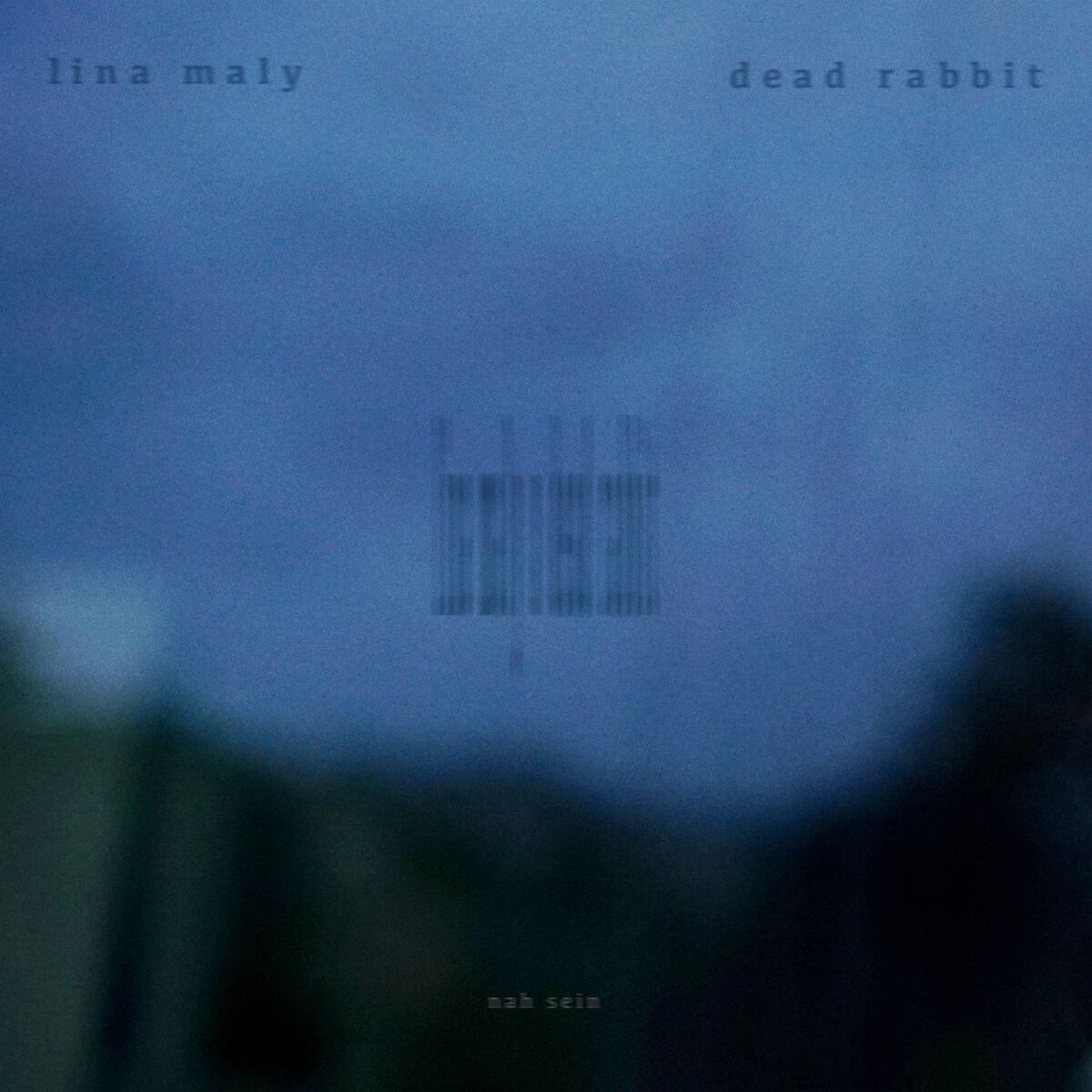 Album cover of Nah sein