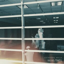 Cover of Dead Malls