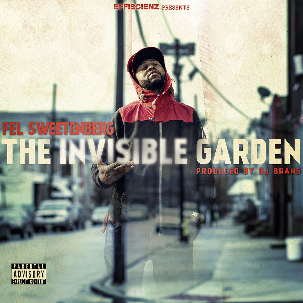 Picture of The Invisible Garden