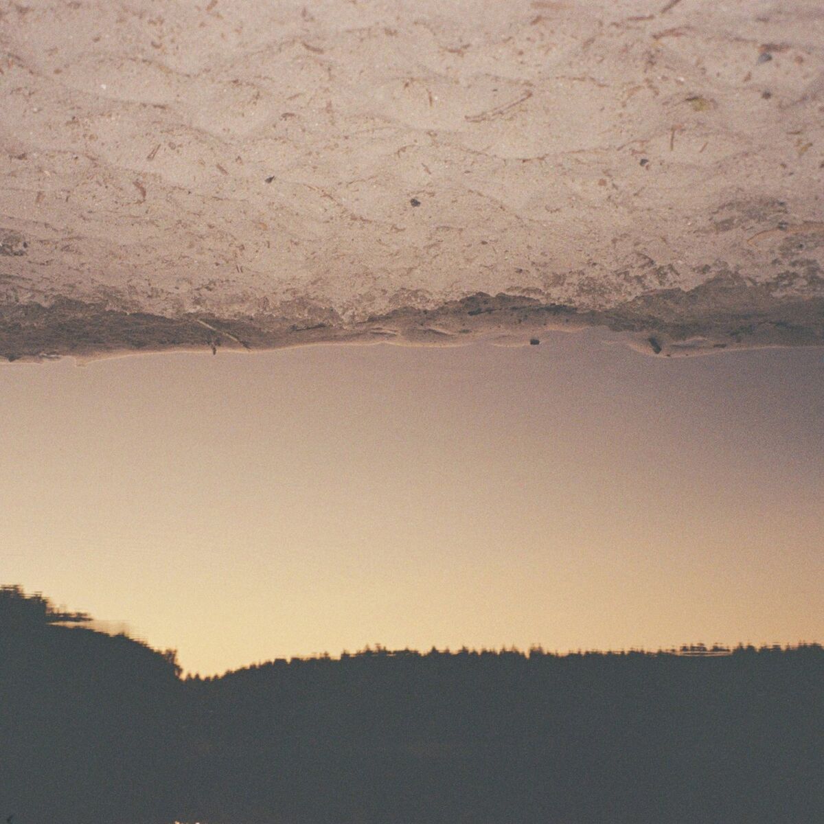 Album cover of Still