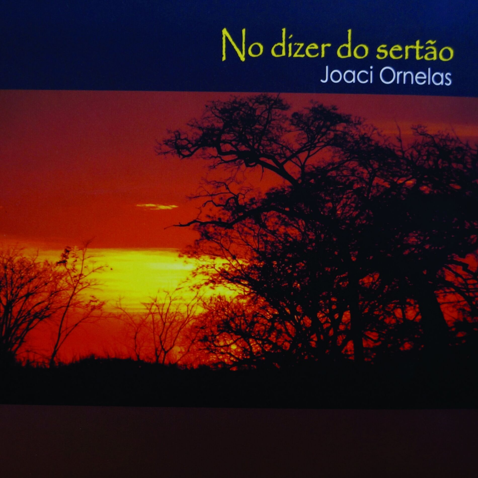 Album cover of NO DIZER DO SERTÃO