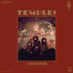 Cover of Hot Motion