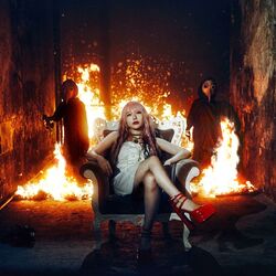 Cover of Burn The Fire