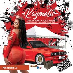 Cover of Party eFedile 2.0