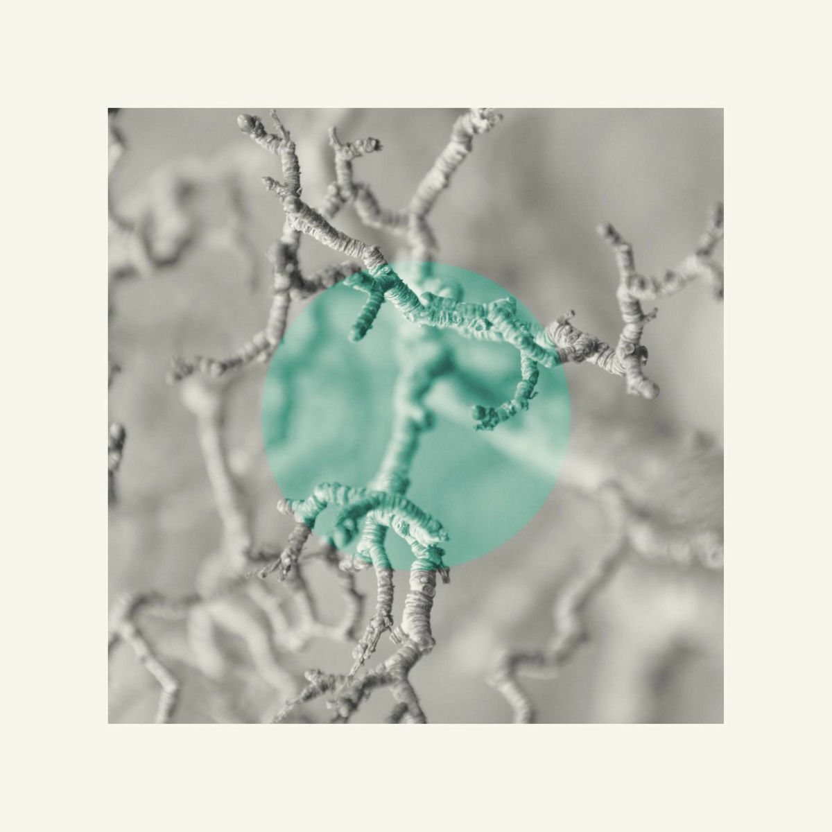 Album cover of Ivystrung