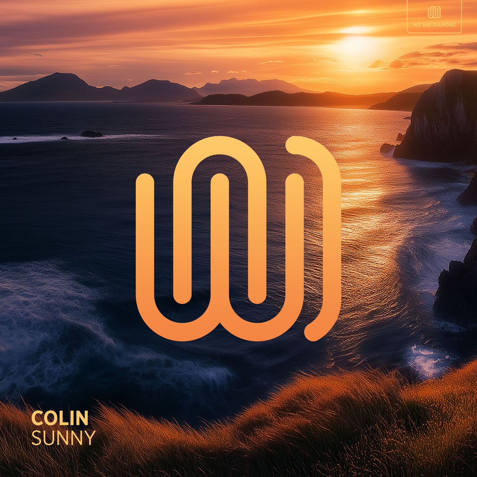 Album cover of Sunny