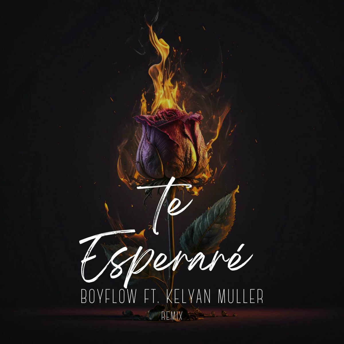 Album cover of Te Esperaré