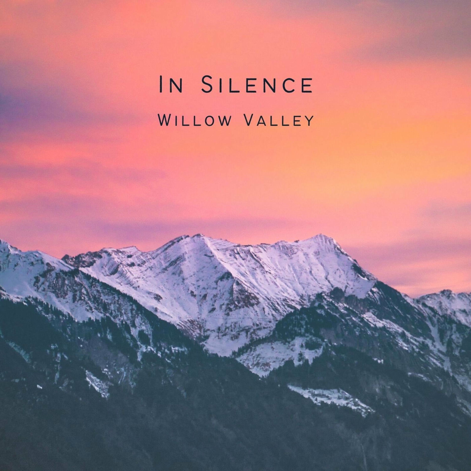 Album cover of In Silence