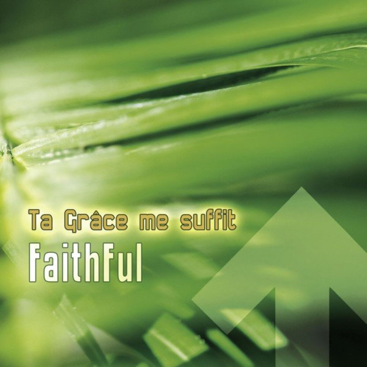 Album cover of Ta Grâce me suffit