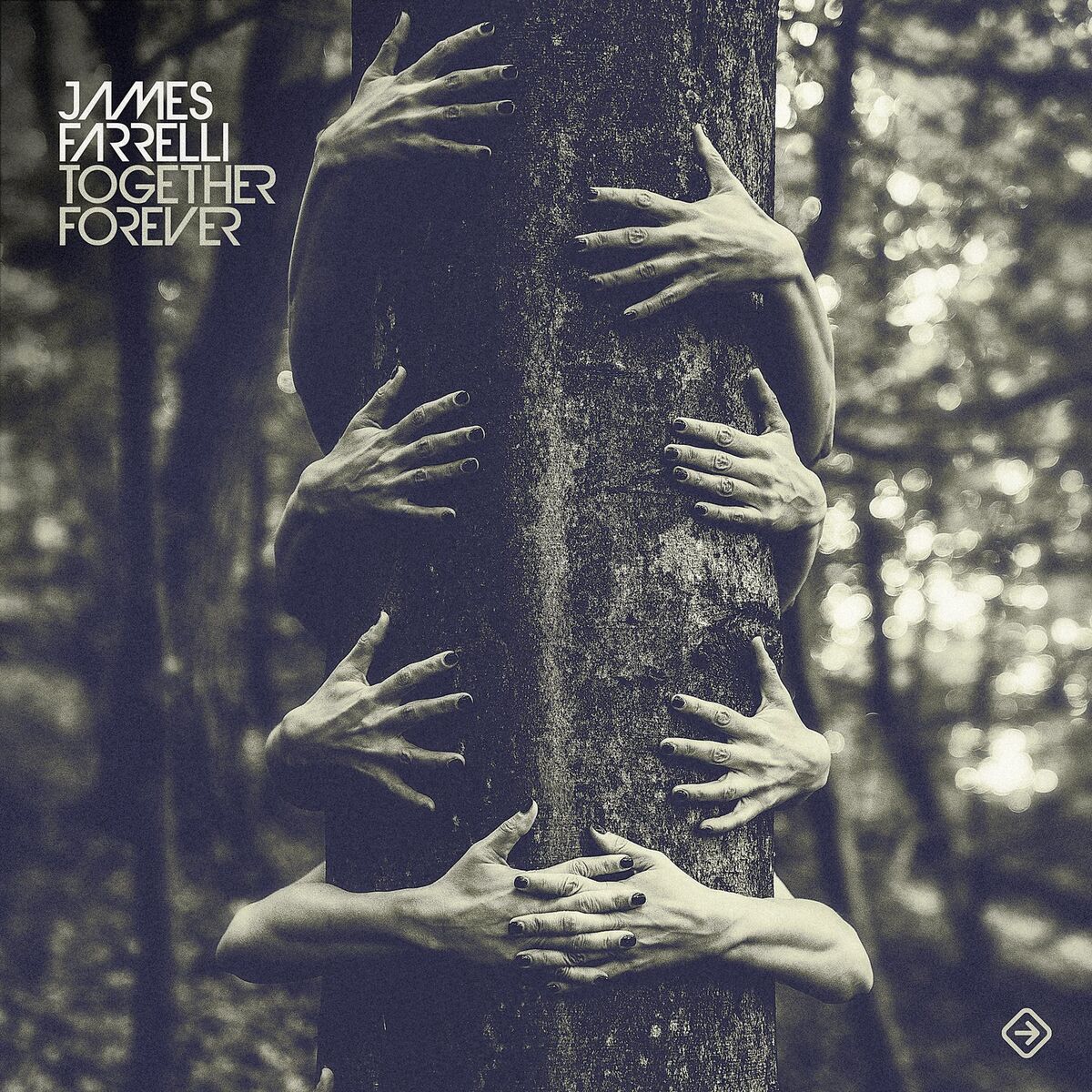 Album cover of Together Forever