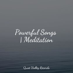 Cover of Powerful Songs | Meditation