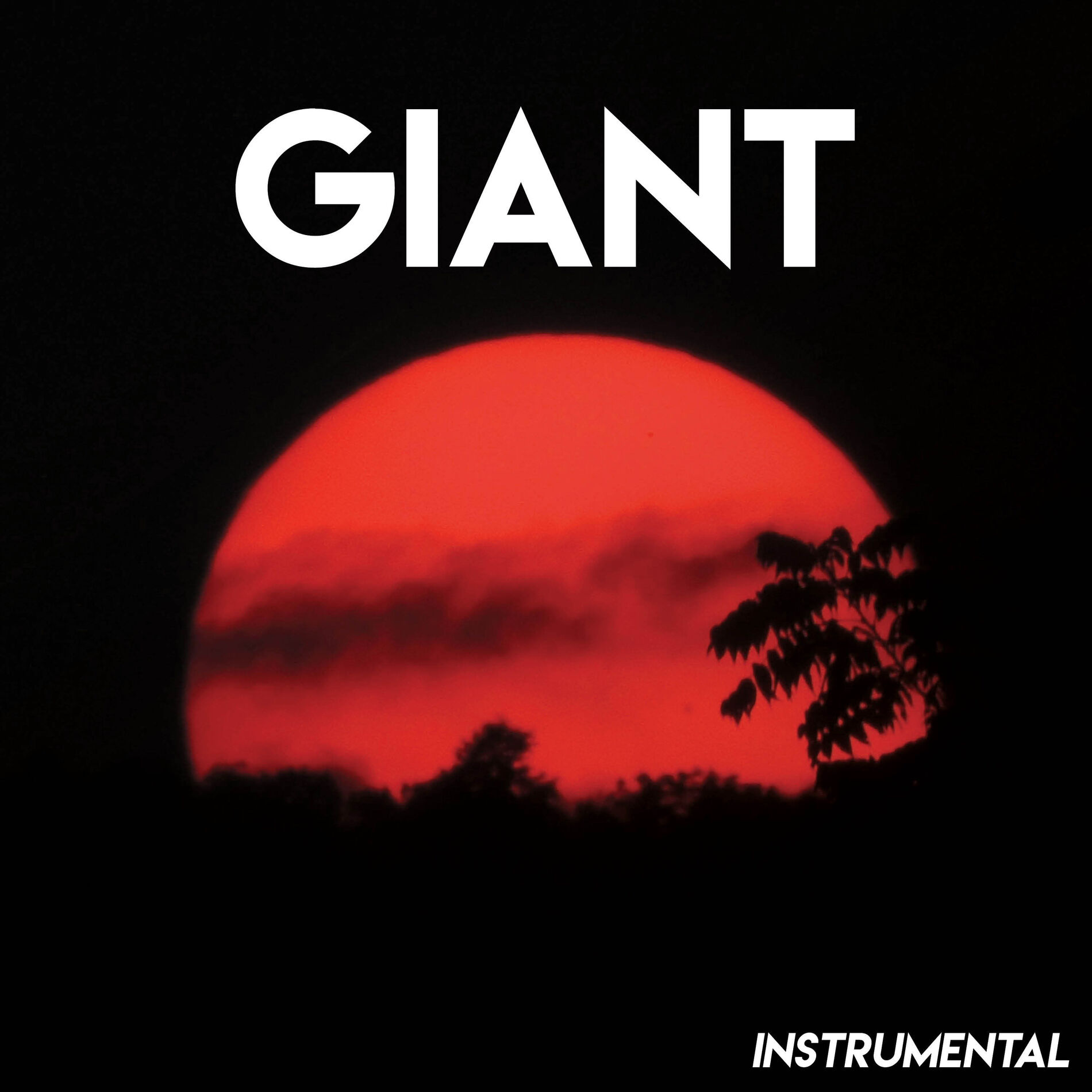 Album cover of Giant (Instrumental)