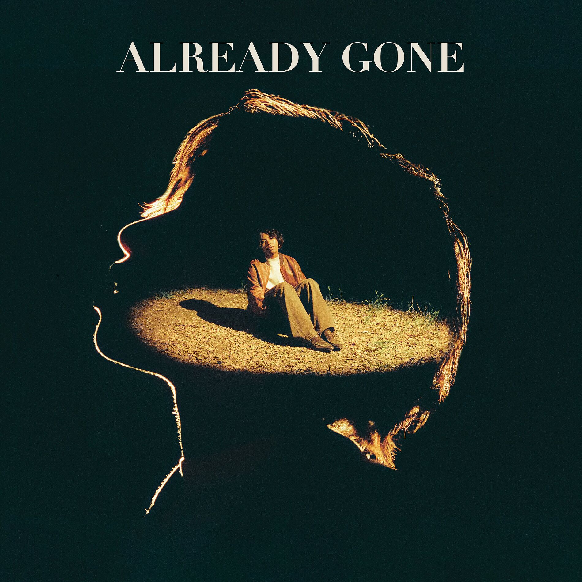 Album cover of Already Gone