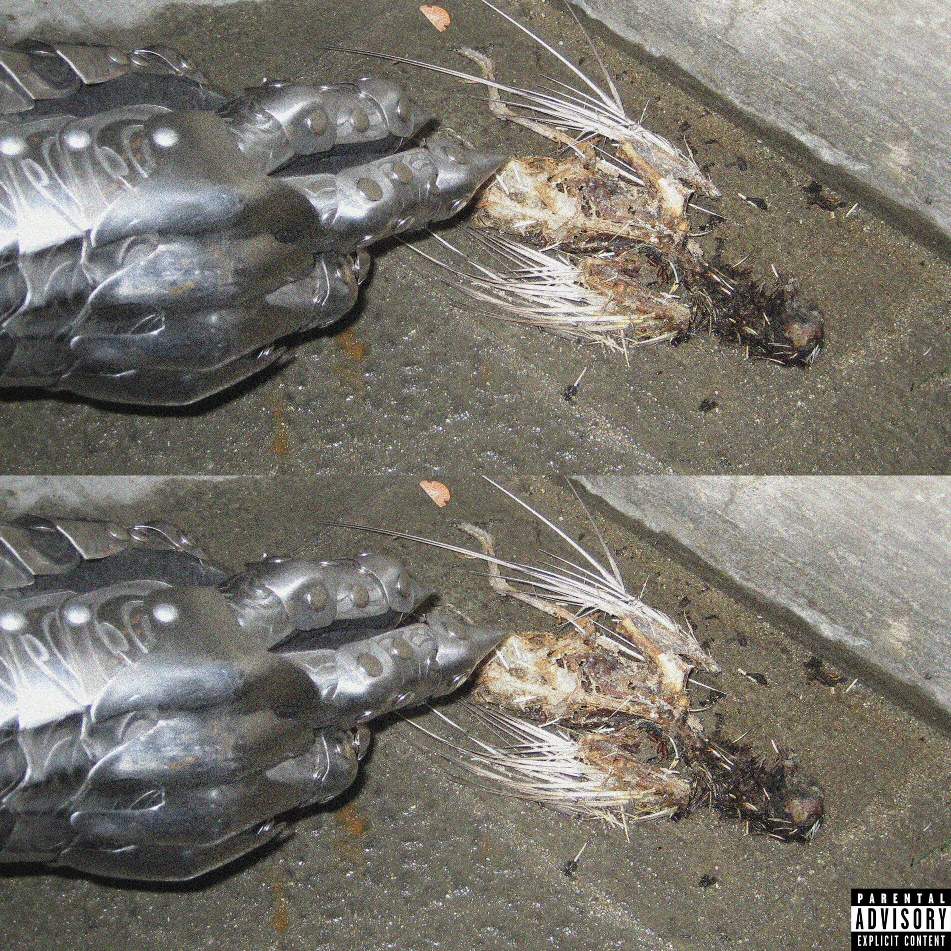 Album cover of Warum immer Ich