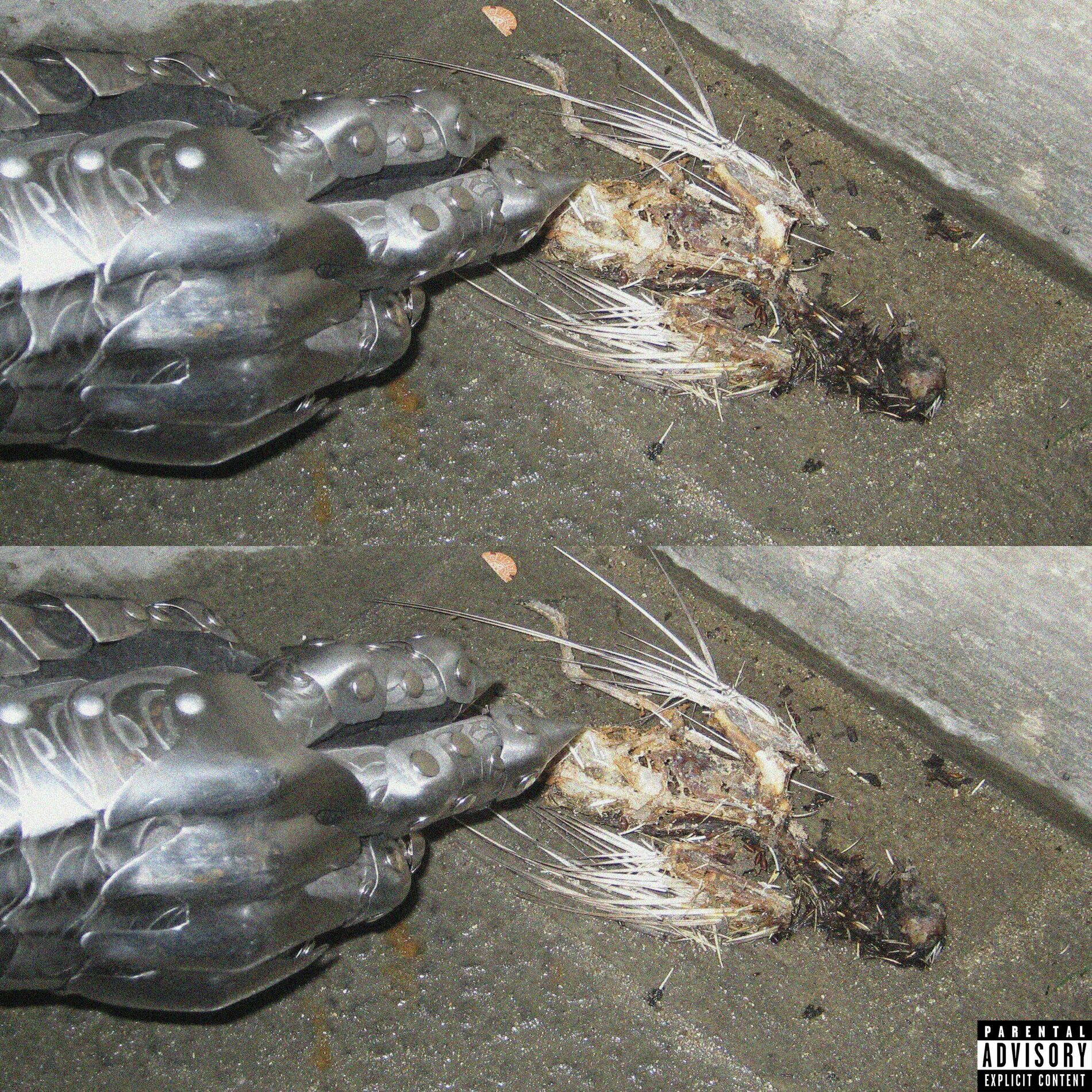 Album cover of Warum immer Ich