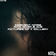 Pictures of a Gallery by Indecent Noise album cover