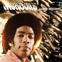 Cover of Wishbone