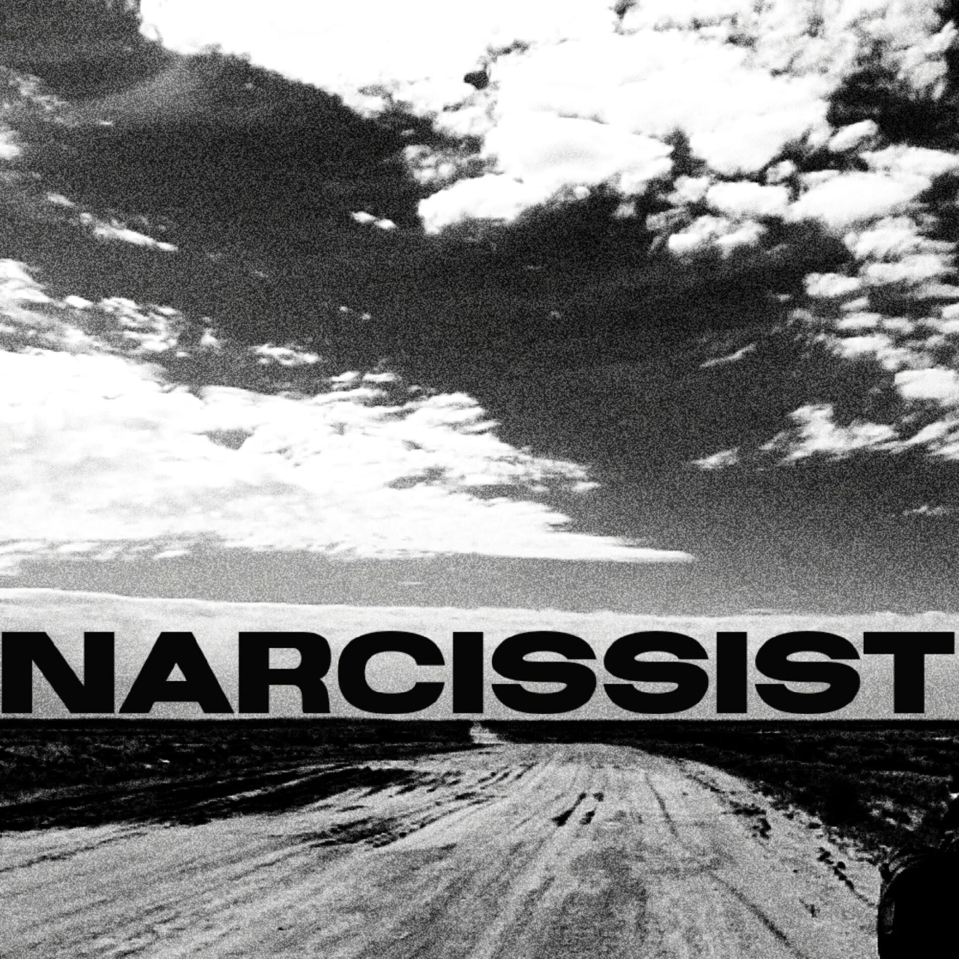 Album cover of NARCISSIST