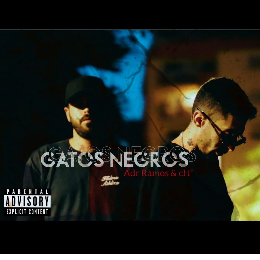 Picture of Gatos negros