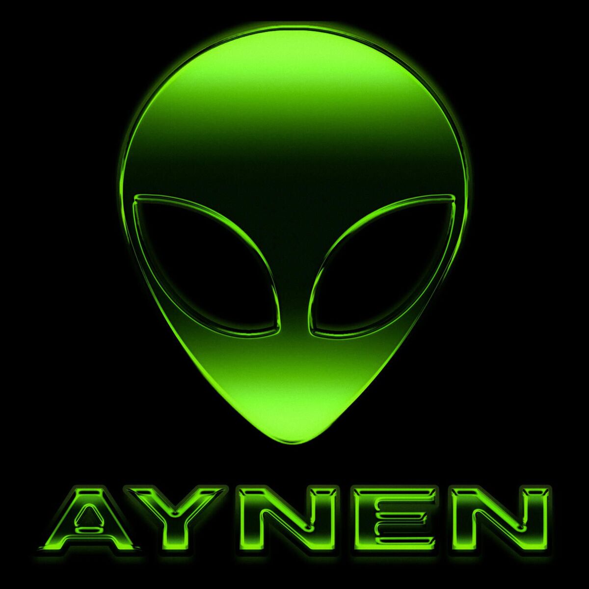 Album cover of AYNEN