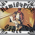 HamiDvPlvg Present "Since 01"