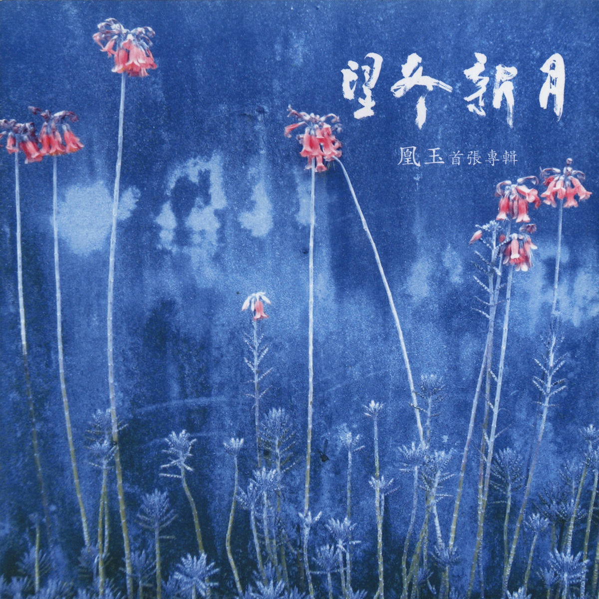Album cover of 望冬新月