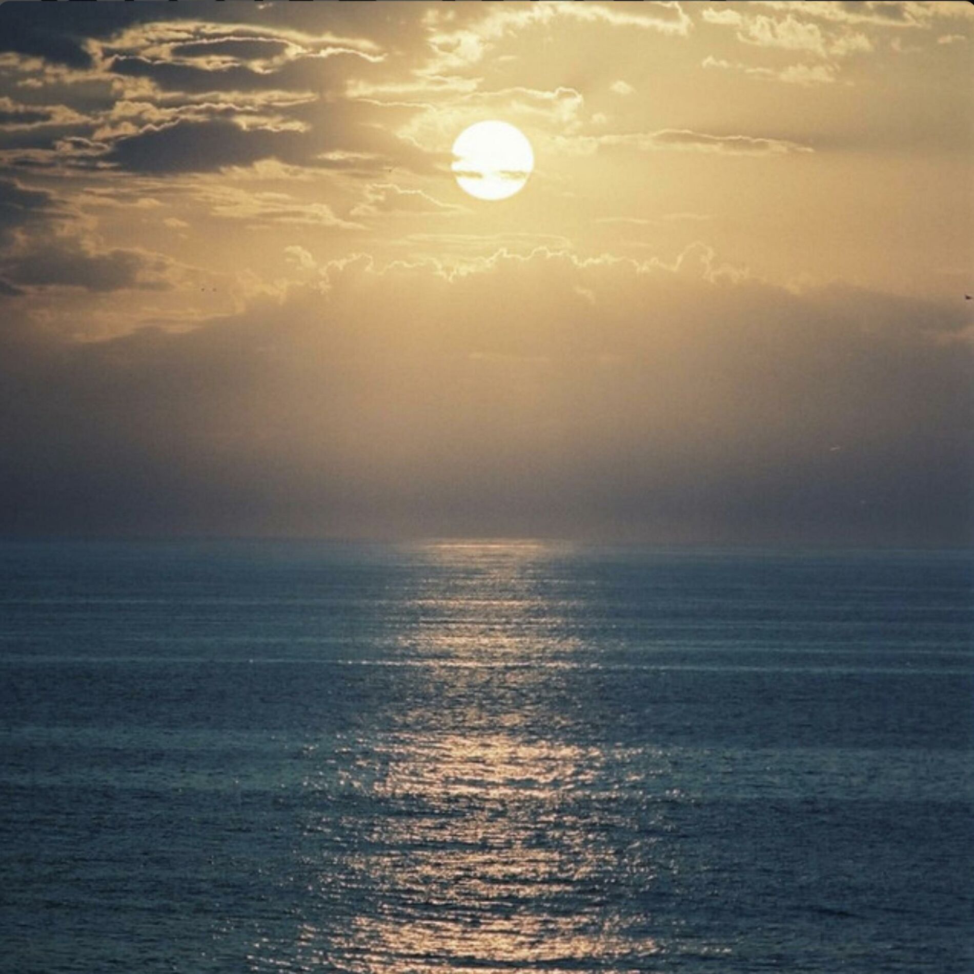 Album cover of Same Sun