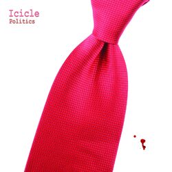 Cover of Politics