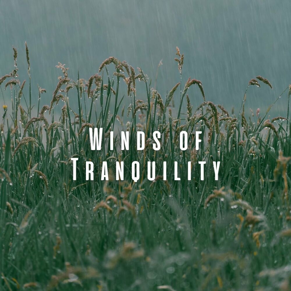 Picture of Winds of Tranquility: Relaxation with Birds and Light Rain