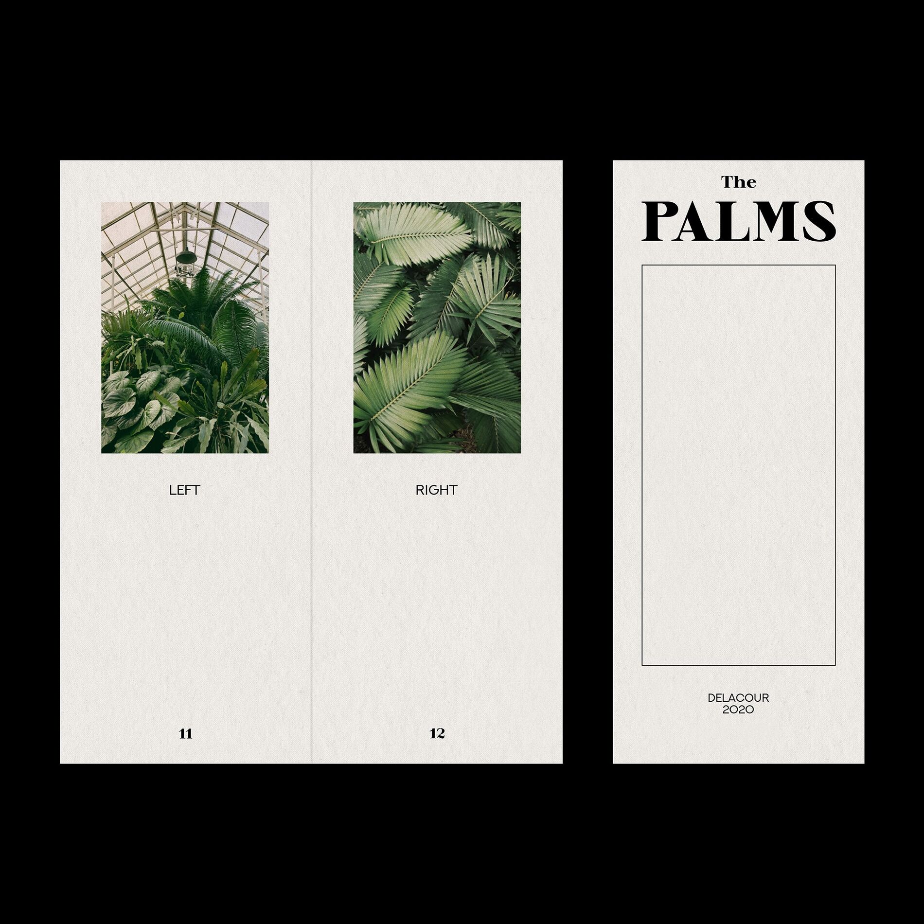 Album cover of The Palms