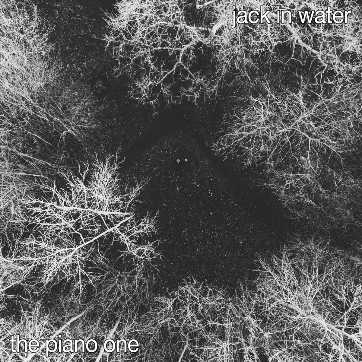 Album cover of The Piano One