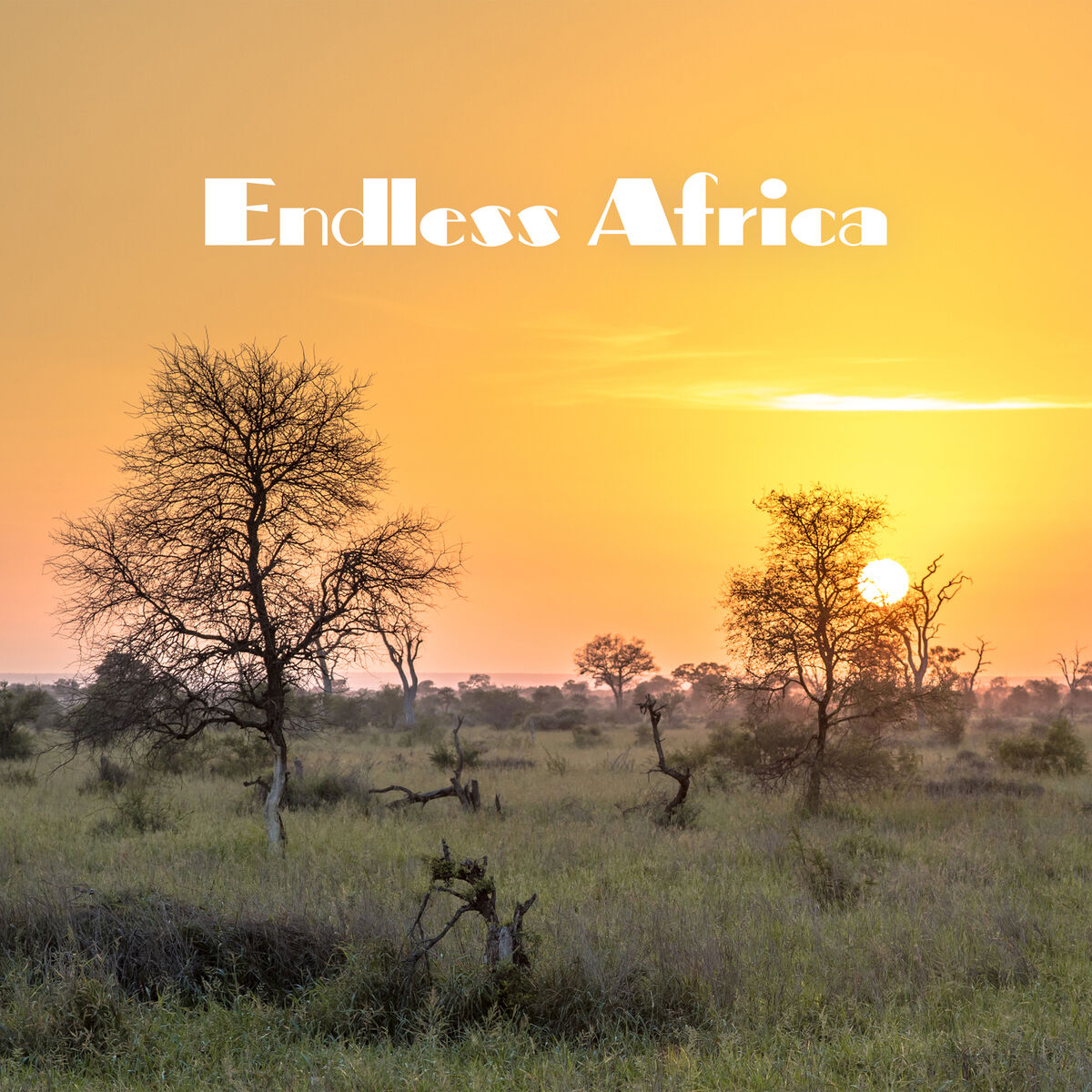 Album cover of Endless Africa