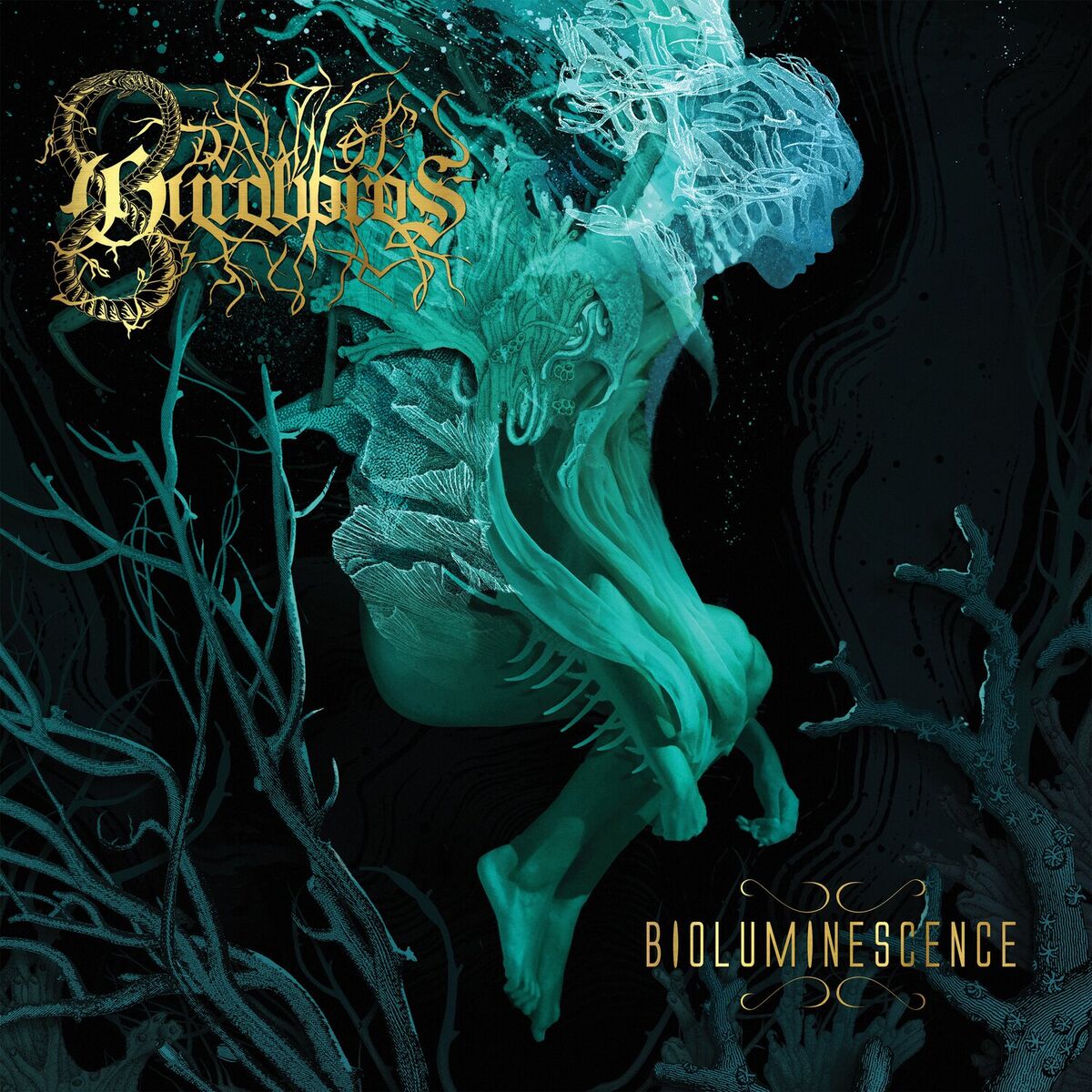 Album cover of Nebulae