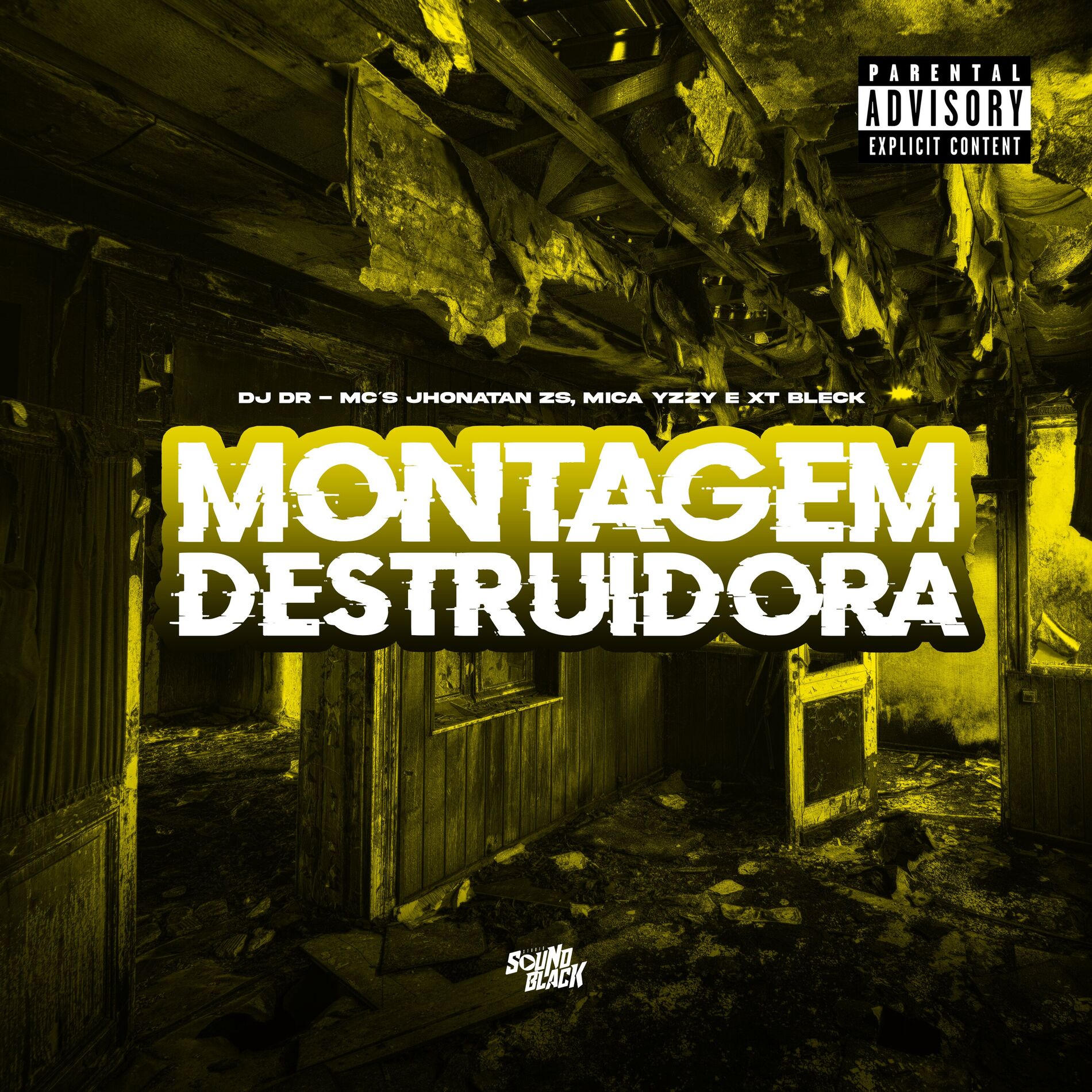 Album cover of Montagem Destruidora