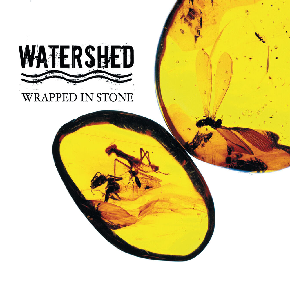 Picture of Wrapped In Stone