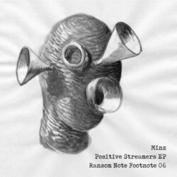 Cover of Positive Streamers