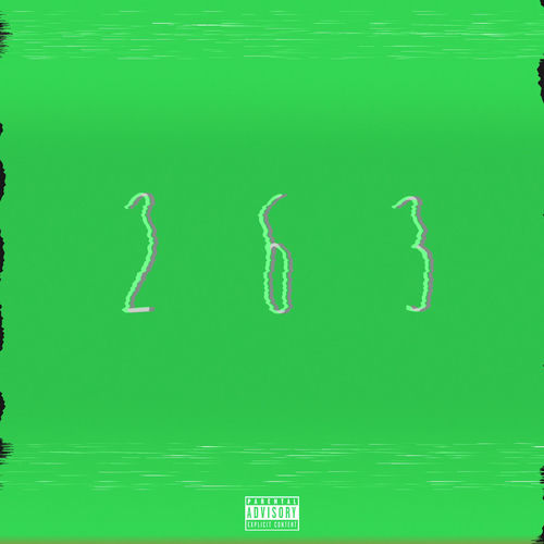 263