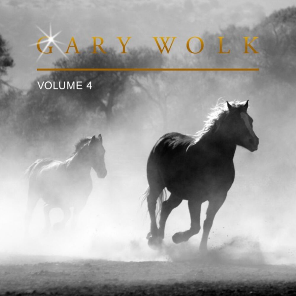 Picture of Gary Wolk, Vol. 4