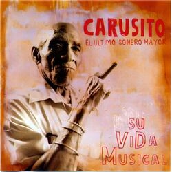 Cover of Su Vida Musical