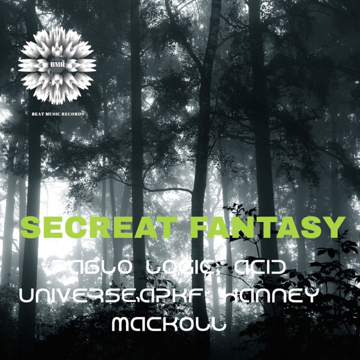 Album cover of Secreat Fantasy