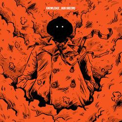 Cover of Hud Dreems