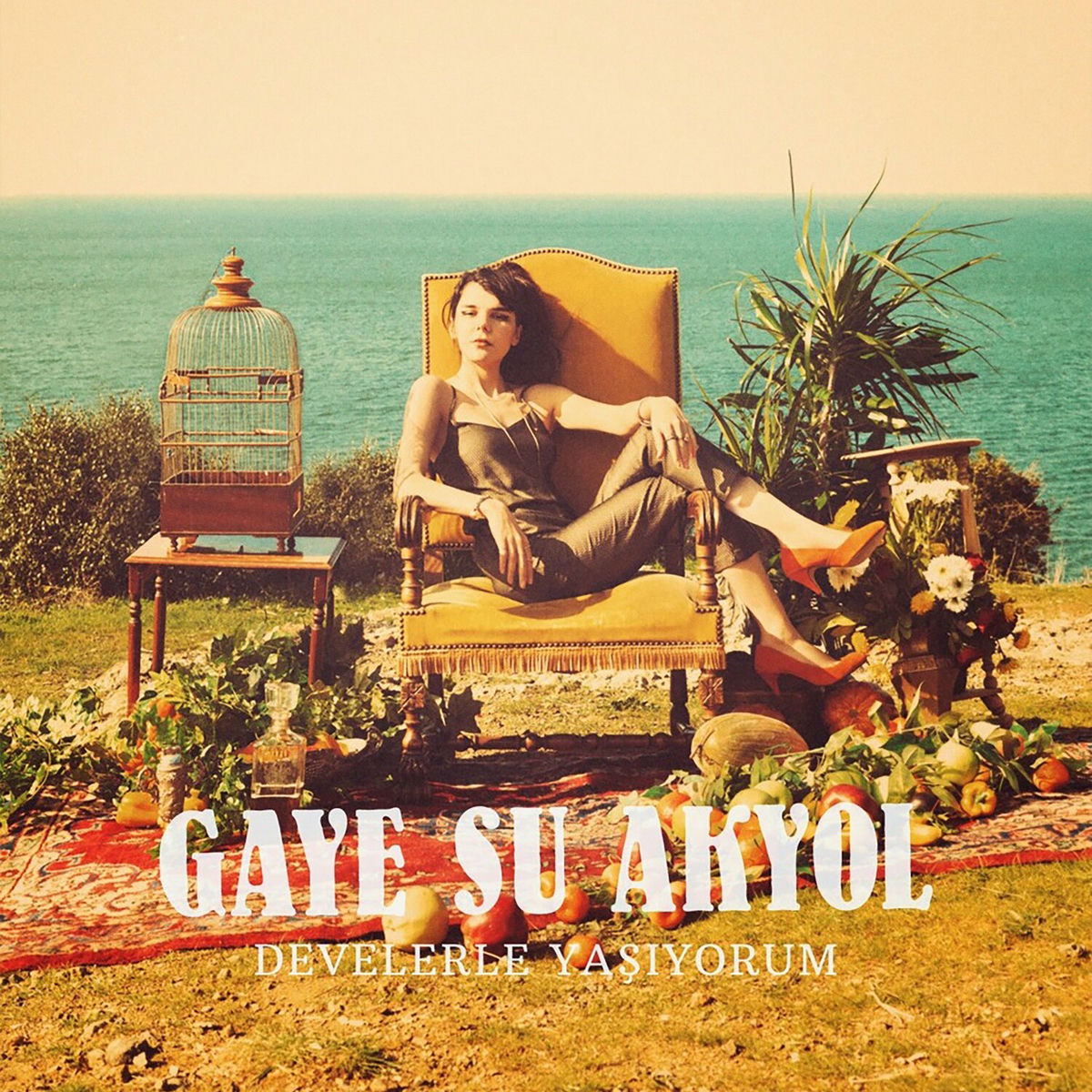 Album cover of Biliyorum